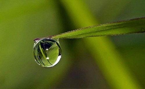 国产自产水滴小视频,创新短视频平台引领潮流